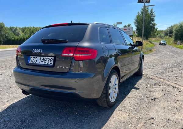 Audi A3 cena 21999 przebieg: 316050, rok produkcji 2008 z Wrocław małe 121
